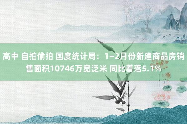 高中 自拍偷拍 国度统计局：1—2月份新建商品房销售面积10746万宽泛米 同比着落5.1%