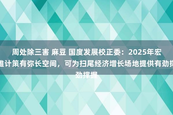 周处除三害 麻豆 国度发展校正委：2025年宏不雅计策有弥长空间，可为扫尾经济增长场地提供有劲撑握